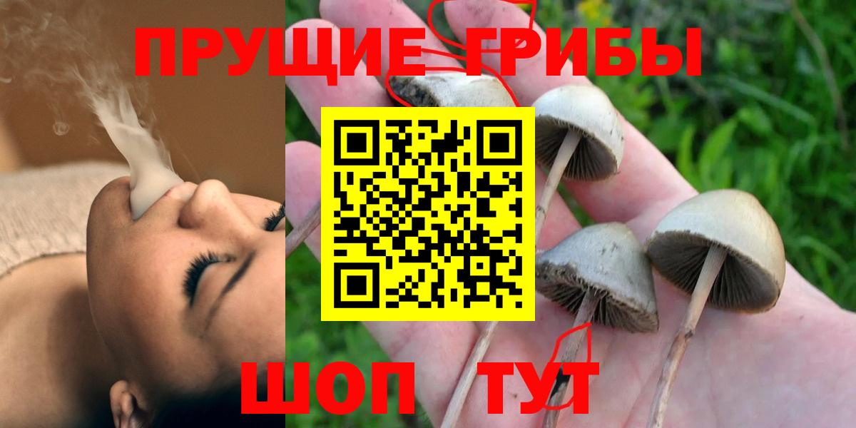 Апатиты  Галлюциногенные грибы GOLDEN TEACHER  Вход с VPN  Псилоцибиновые грибы мухоморы 